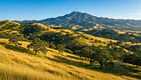 wide_ultra-sharp_daytime_landscape_photograph_of_the_inland_east_bay_of_california_featuri
