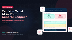 Field guide to AI safety in an AI-native general ledger showing Kick's 39 tool surface (19 read plus 20 write), the preview-first confirmation gate as engineering guarantee at the API layer, the mechanical-versus-cognitive gap that requires human review, the third-party data governance warnings, and the audit trail workflow using activity list with changed-fields filter