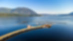 Salmon Arm dock