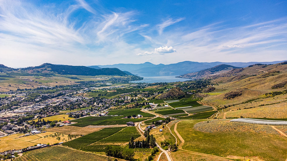 Vernon Commercial Property Management