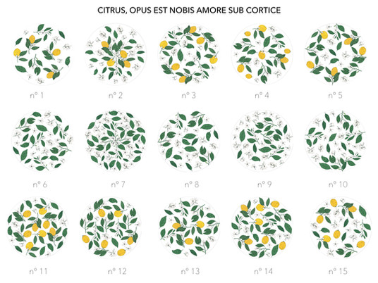 CITRUS, OPUS EST NOBIS AMORE SUB CORTICE
