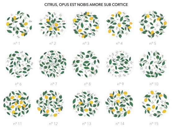 CITRUS, OPUS EST NOBIS AMORE SUB CORTICE