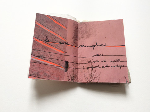 Libro d'artista, Sophie Mühlmann