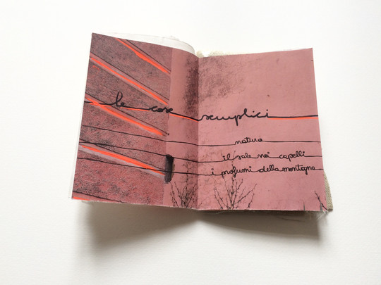 Libro d'artista, Sophie Mühlmann