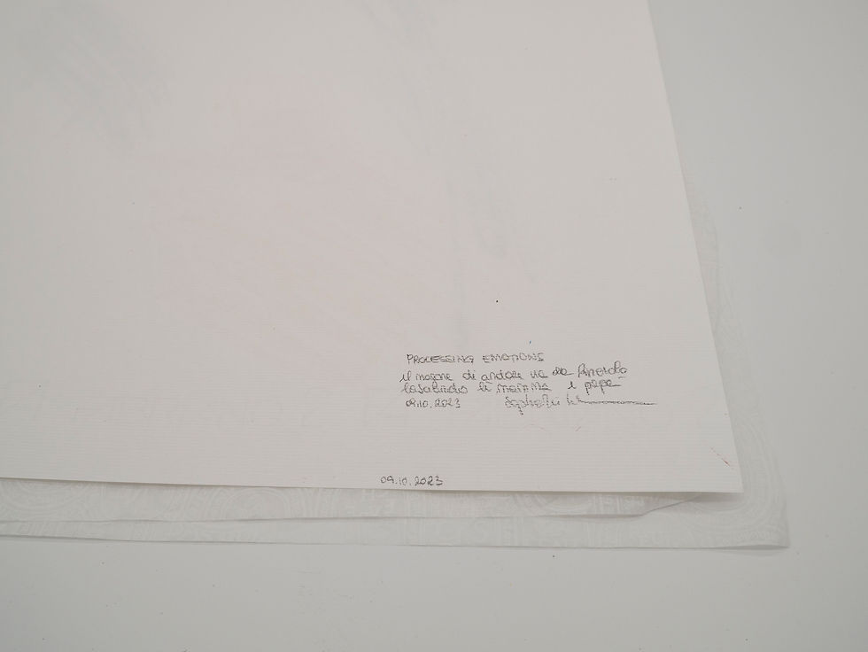 Miniatura: La Partenza _ 33x48cm