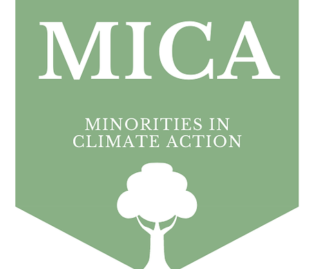 mica.png