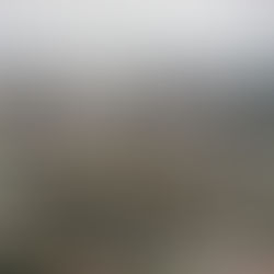 “The Most Sustainable City in Latin America” Curitiba, Brazil