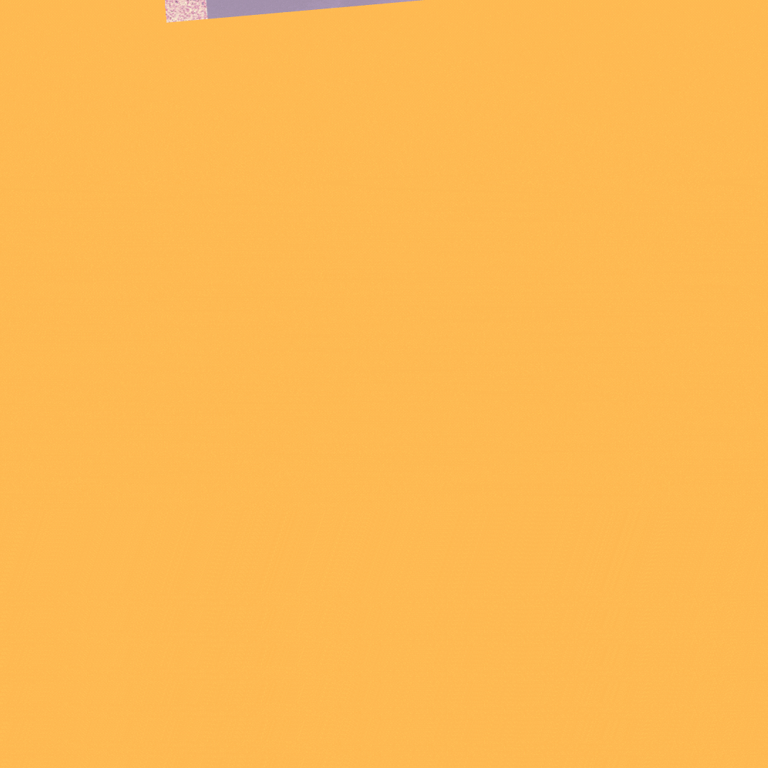 webshow archives (6).gif
