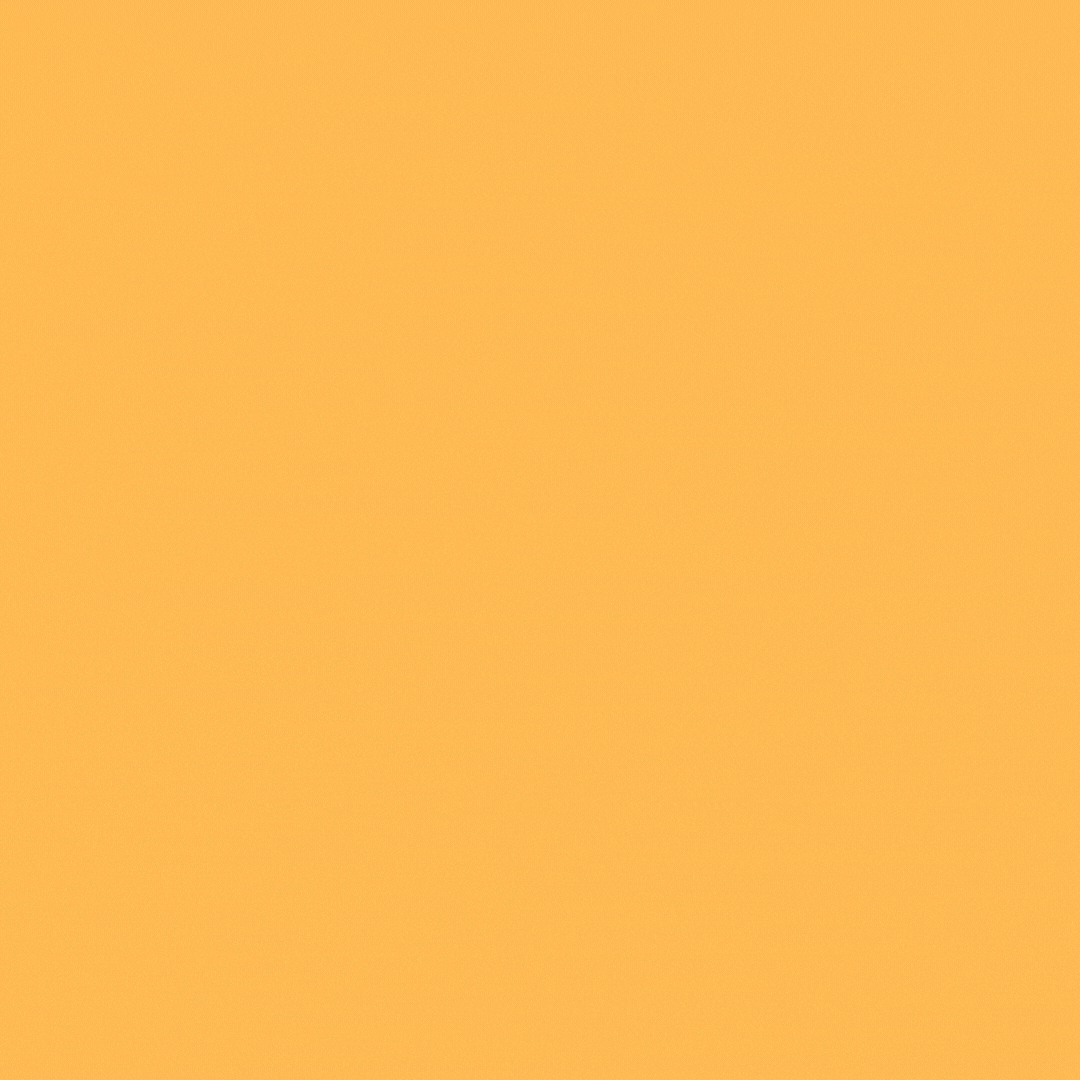 webshow archives (7).gif