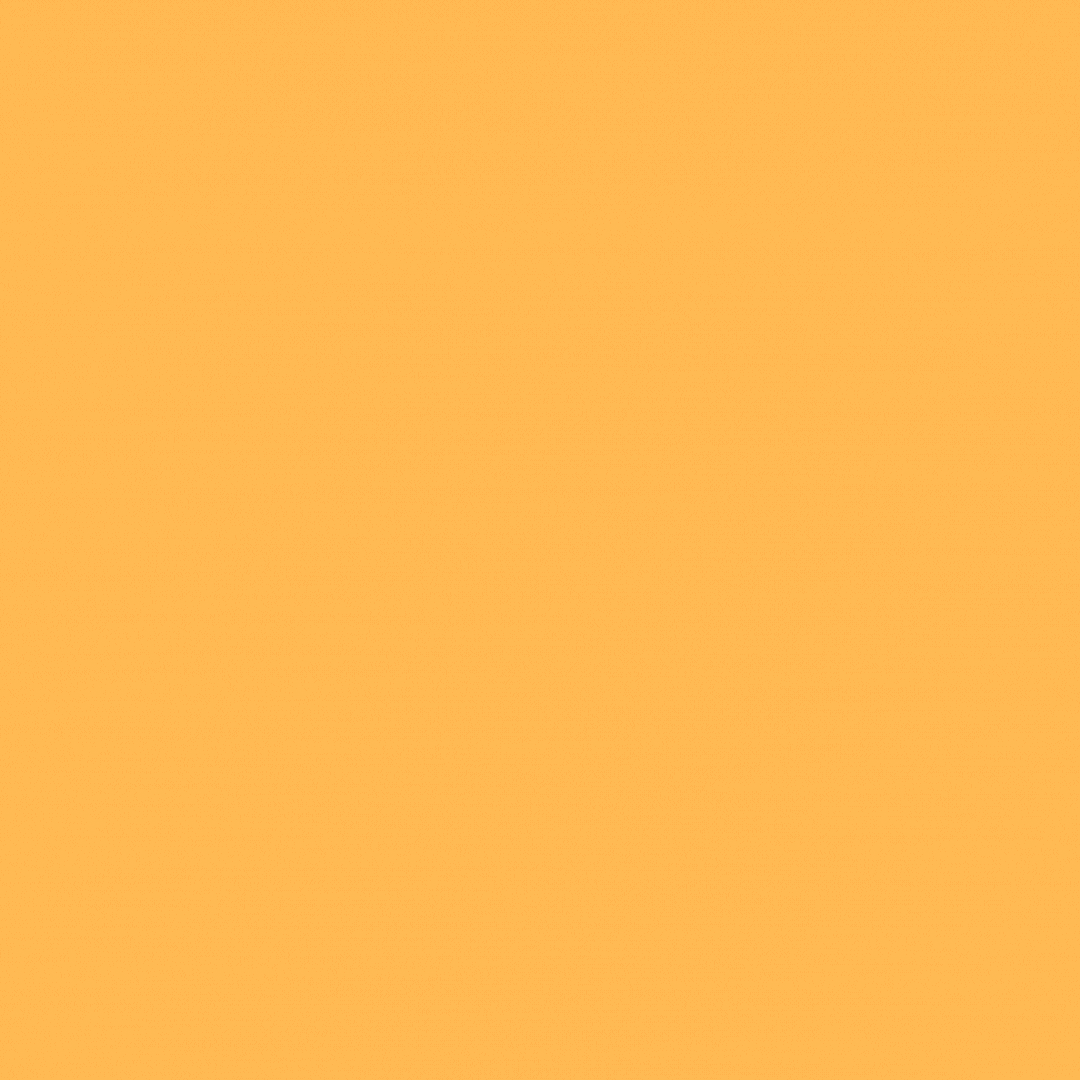 webshow archives (10).gif