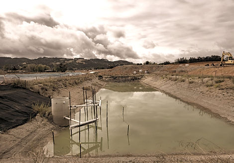 SRP pond_edited_edited.jpg