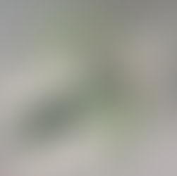 Christ the King Church (D & E)