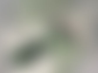 Christ the King Church (D & E)