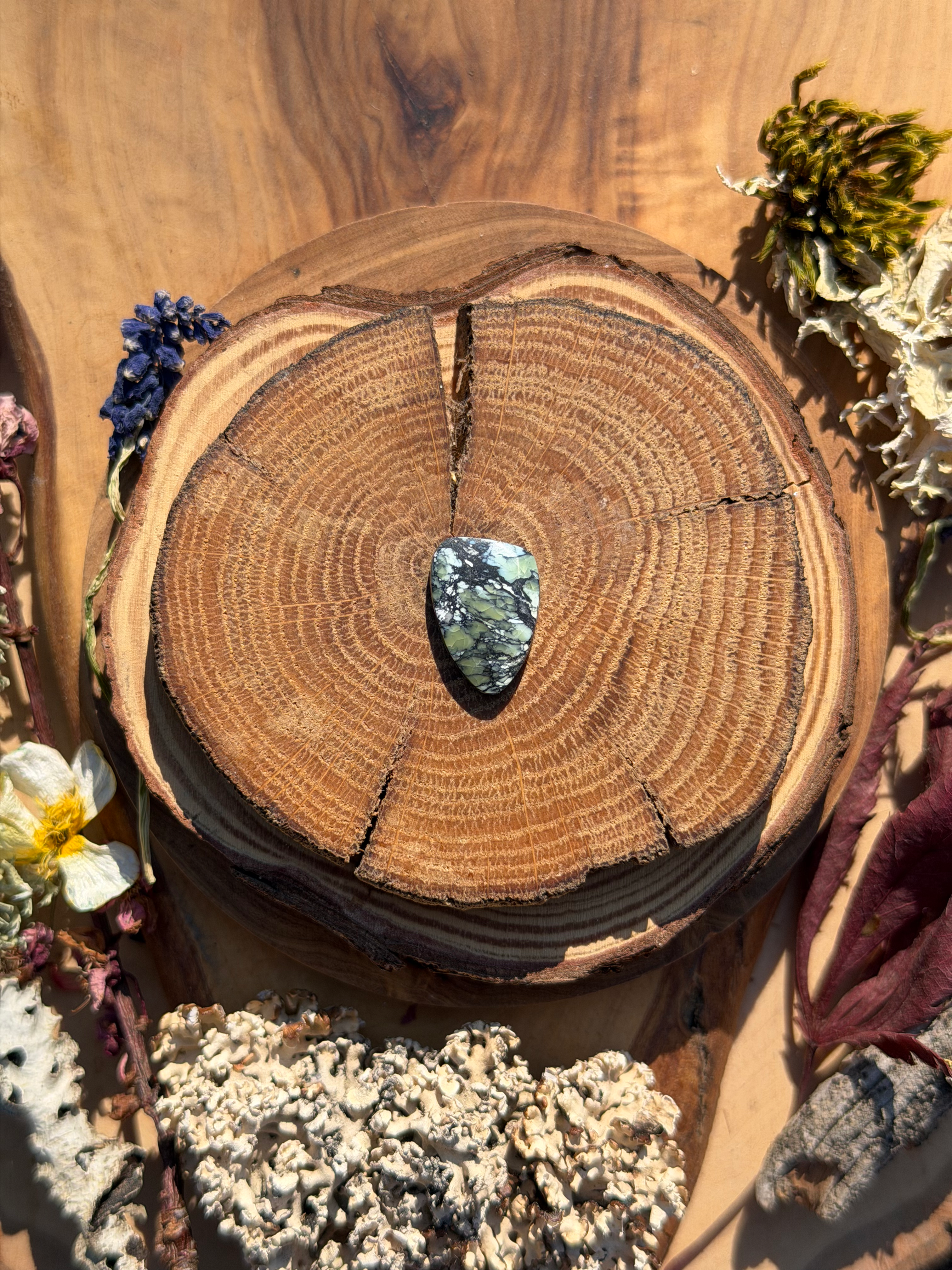 Dark Moon Variscite Cabochon