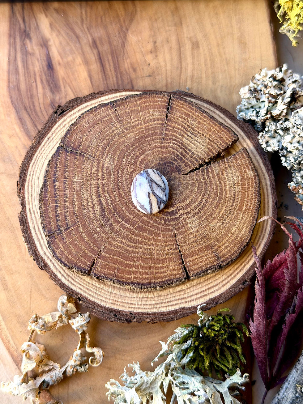 Thumbnail: Channel Wood - Dawn Redwood Petrified Wood Cabochon
