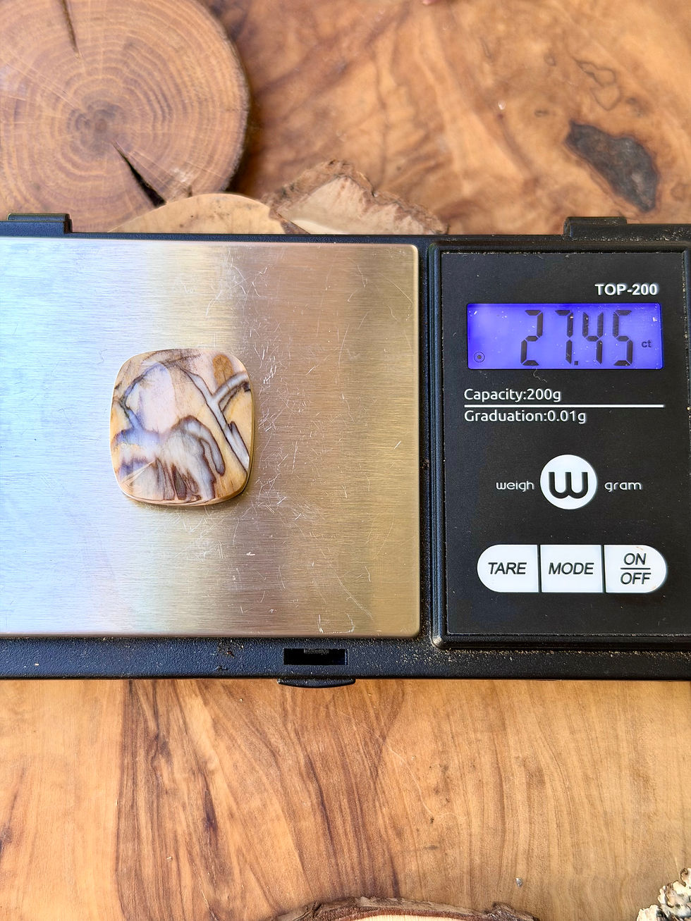 Thumbnail: Channel Wood - Dawn Redwood Petrified Wood Cabochon