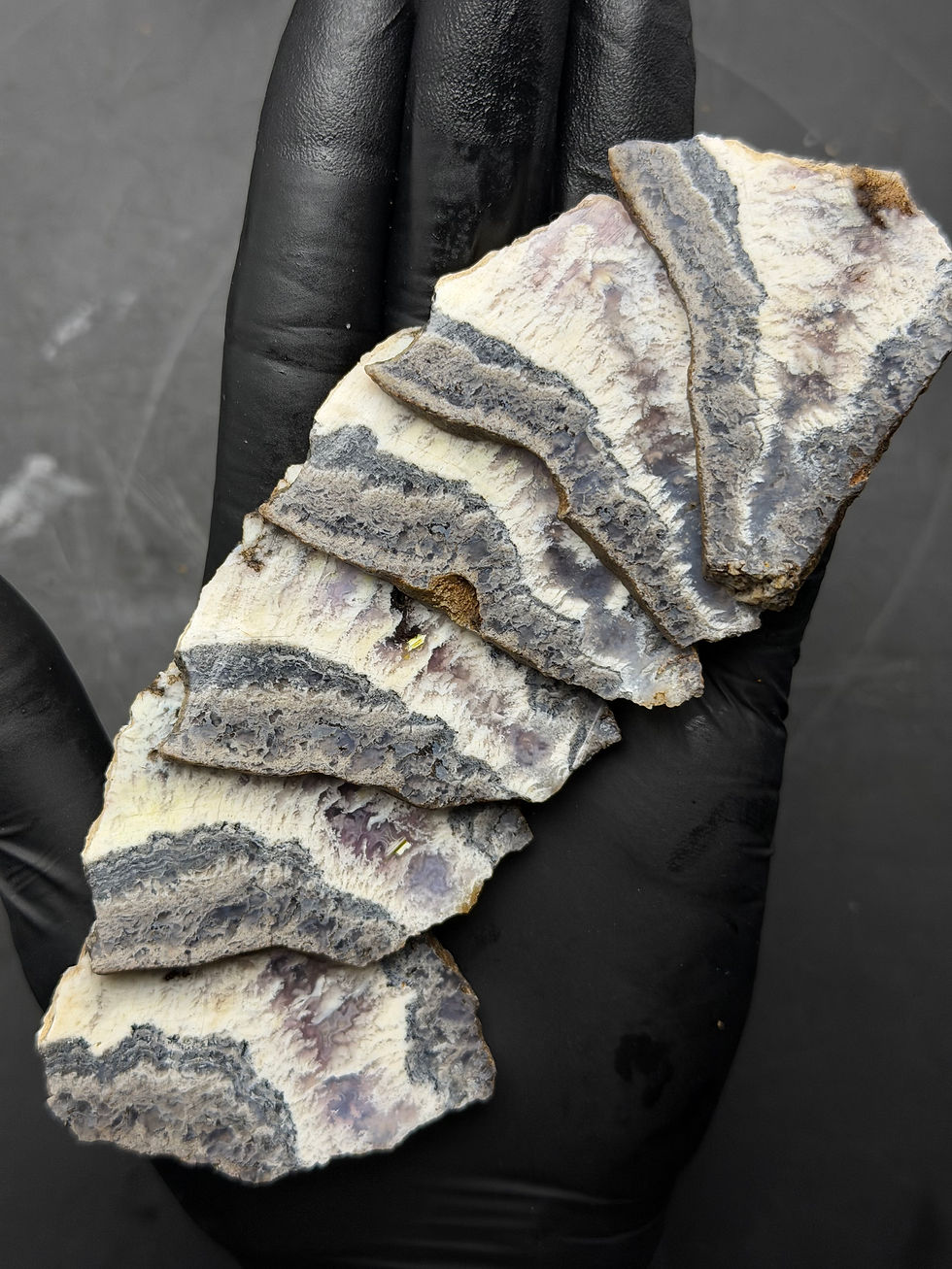 Thumbnail: Leathers Ranch - Stinking Water Plume Agate Slabs (6)