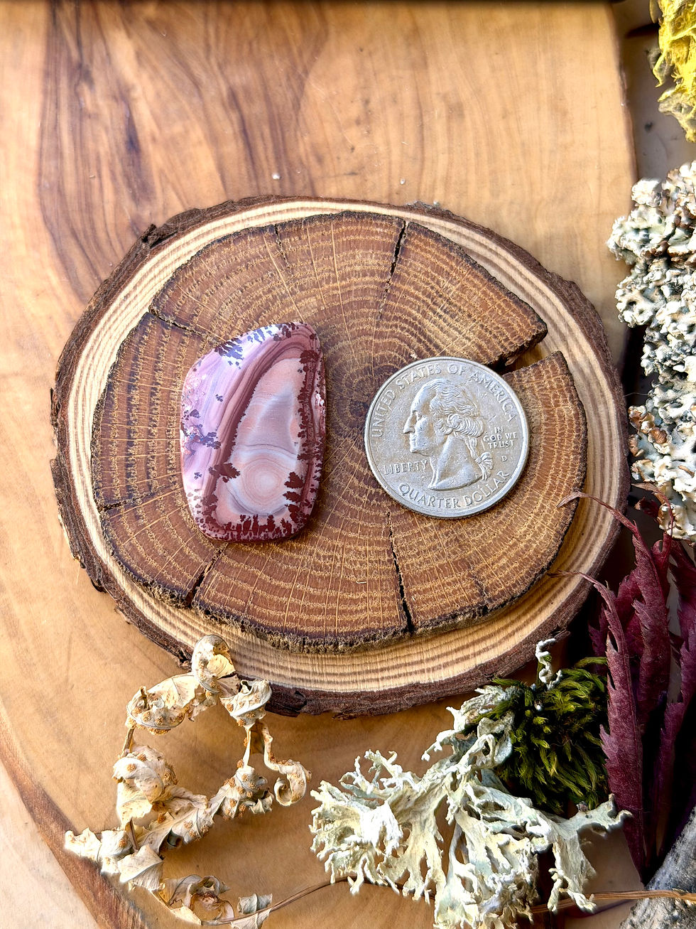Thumbnail: Apache Sage Rhyolite Cabochon