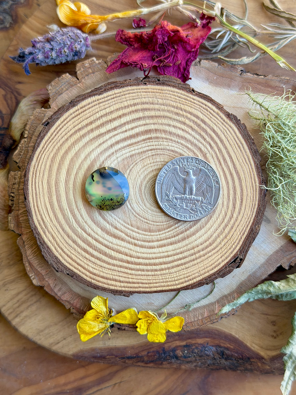 Thumbnail: Montana Agate | NZ Abalone Cabochon