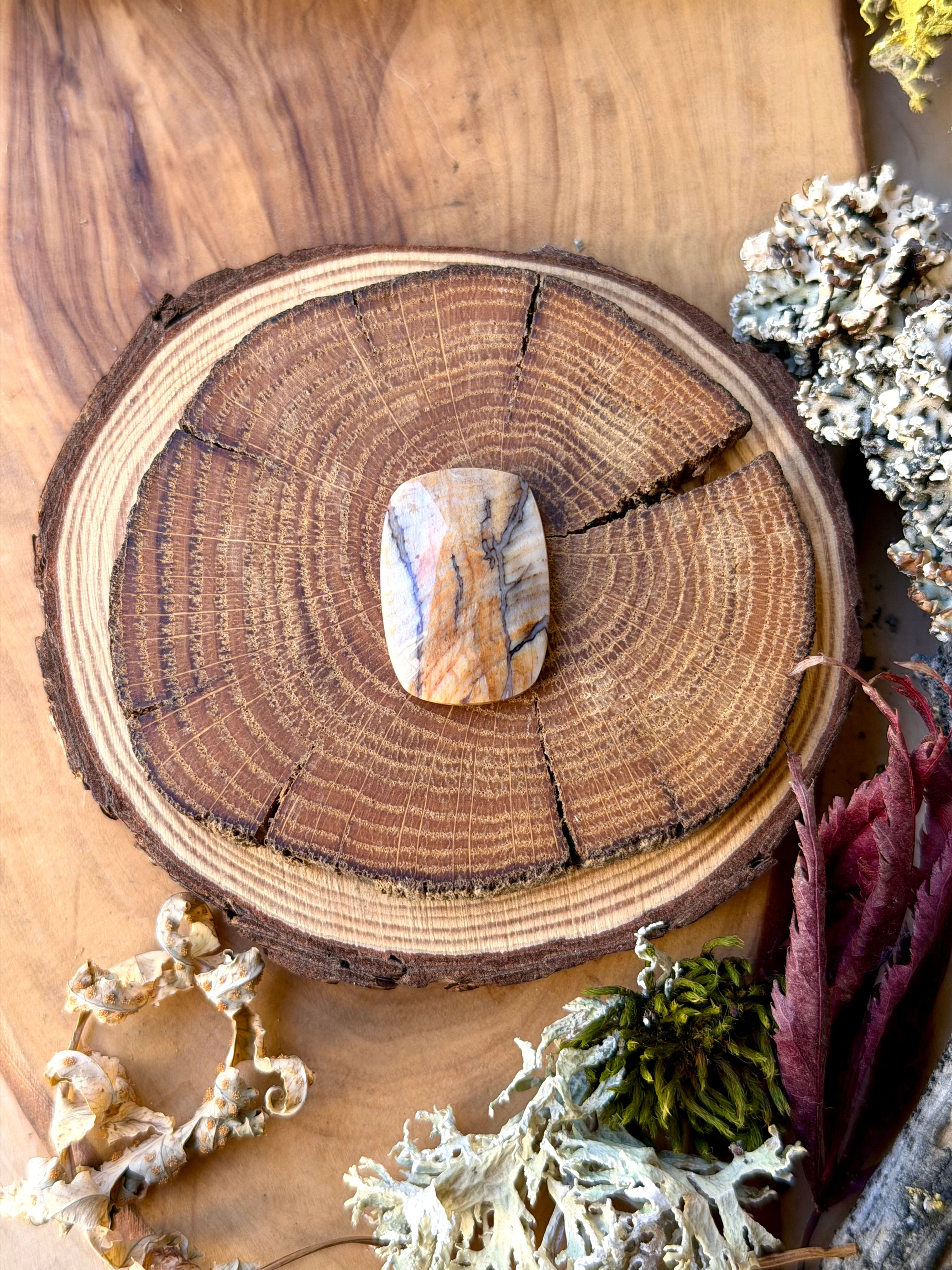Channel Wood - Dawn Redwood Petrified Wood Cabochon