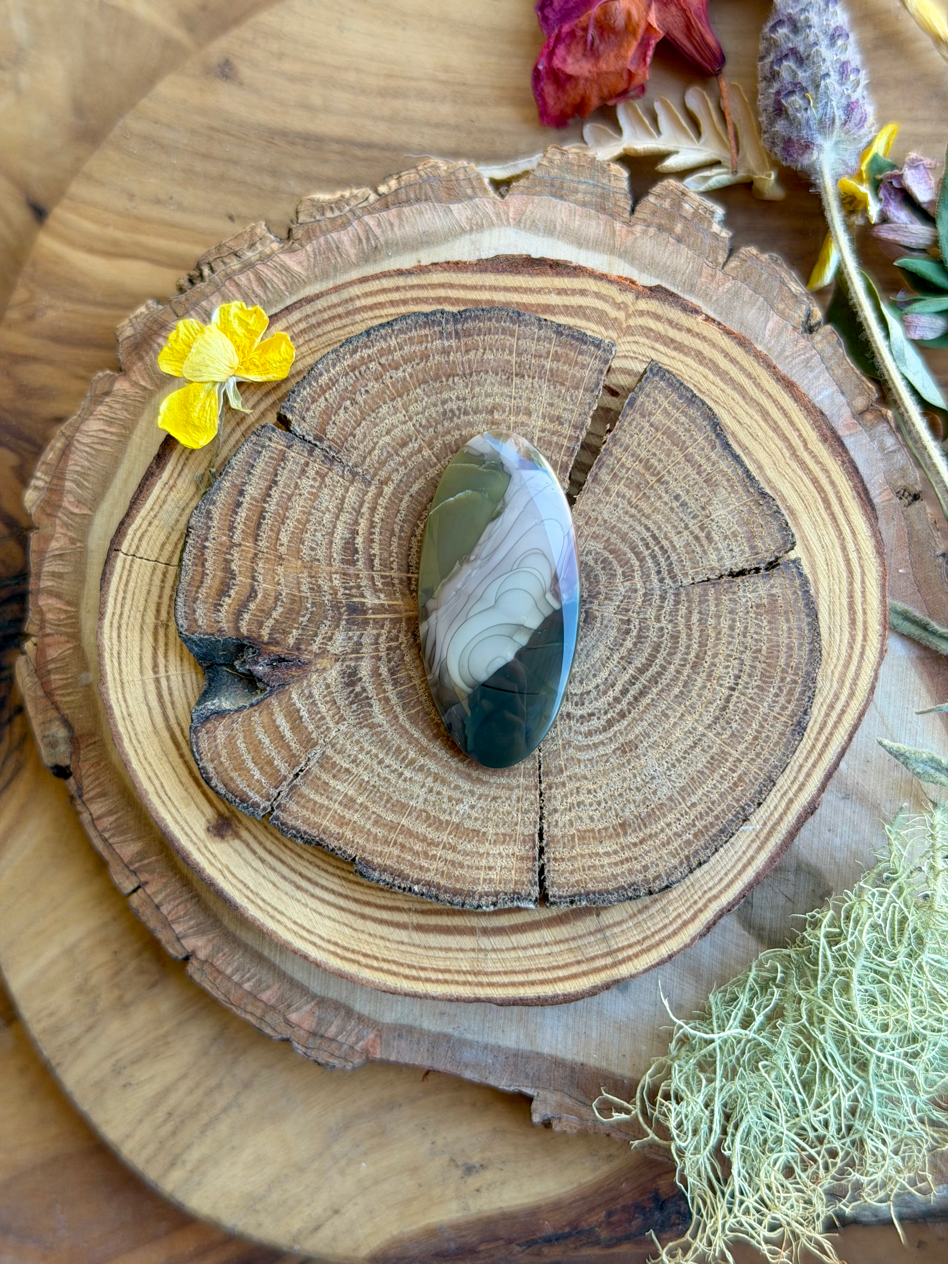 Willow Creek Jasper Cabochon