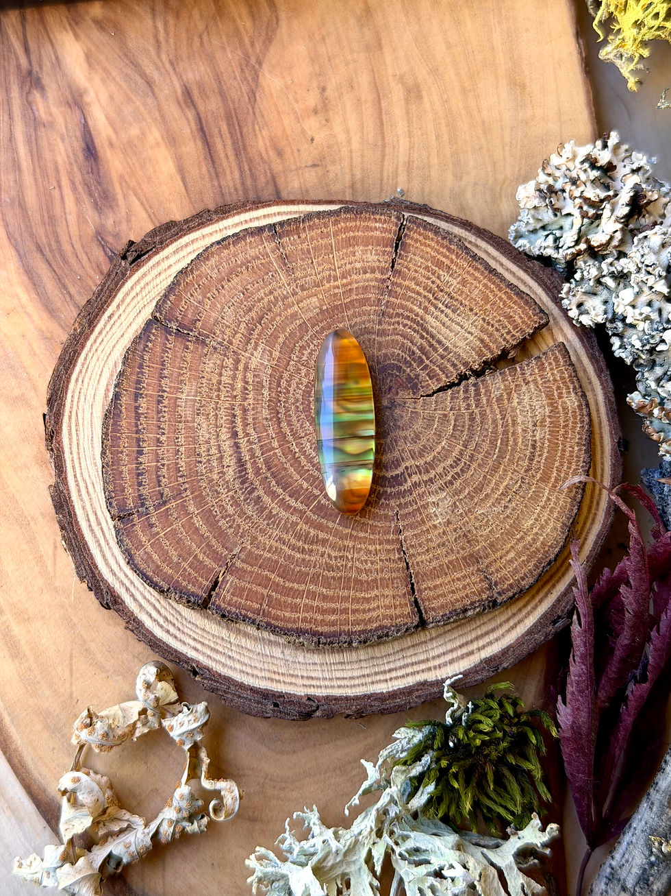 Thumbnail: Montana Agate | NZ Abalone Cabochon