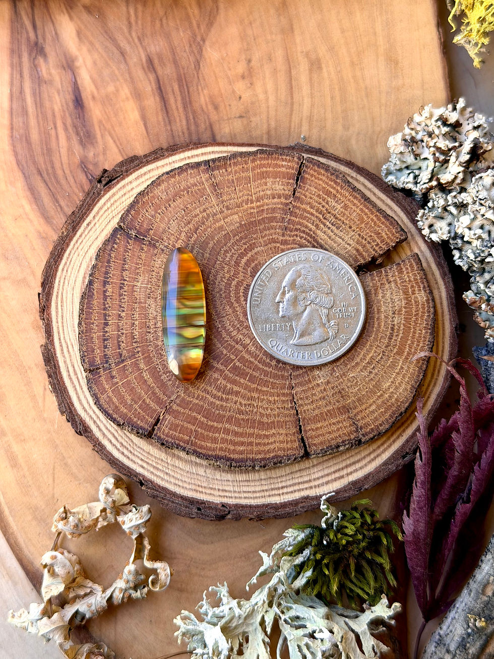 Thumbnail: Montana Agate | NZ Abalone Cabochon