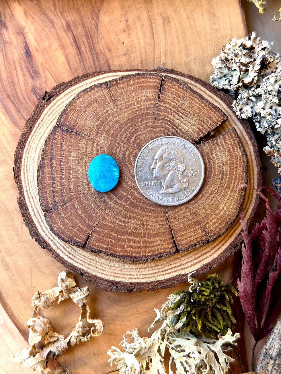 Thumbnail: Gem Silica Sagenite Cabochon