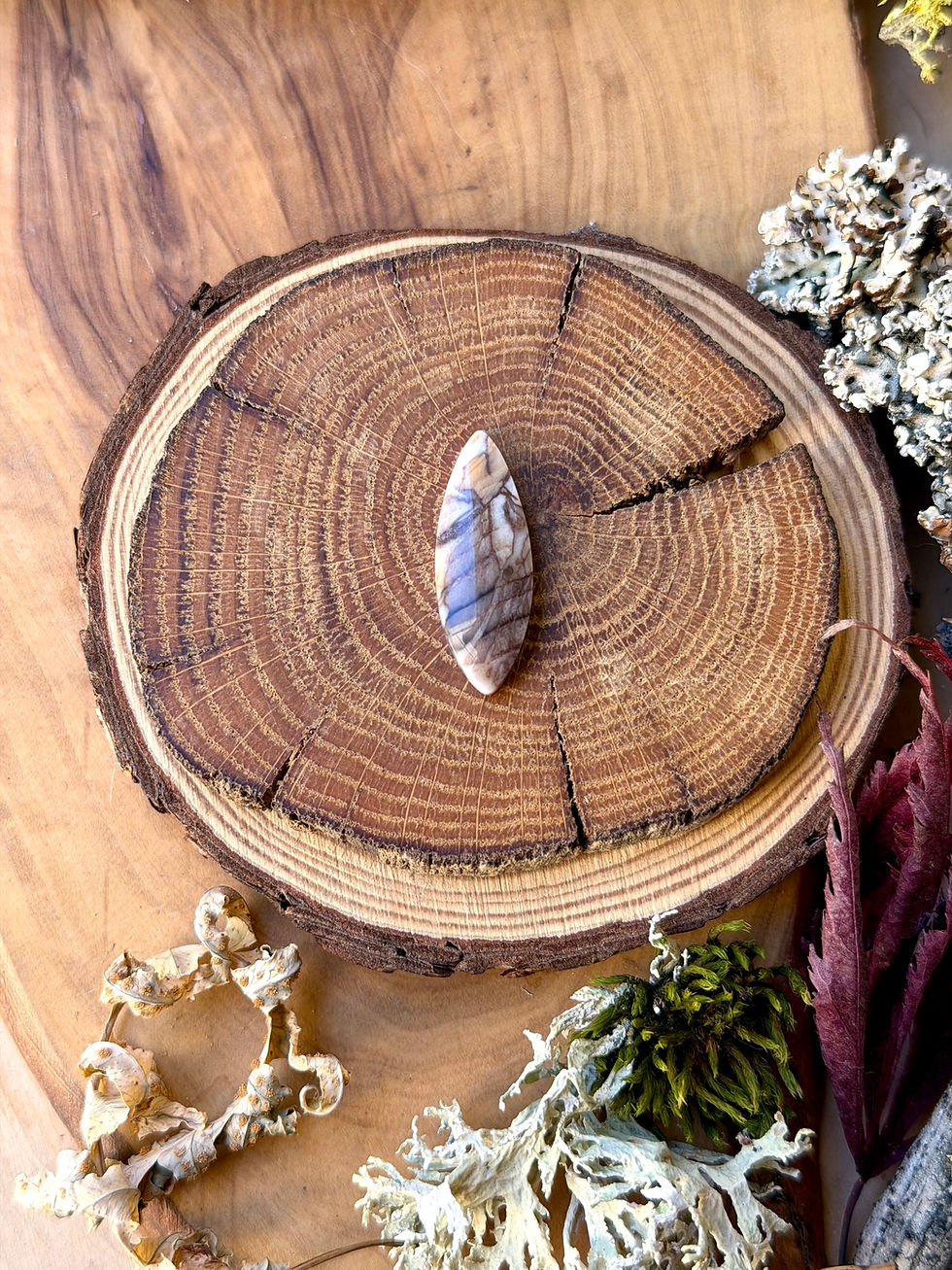 Thumbnail: Channel Wood - Dawn Redwood Petrified Wood Cabochon