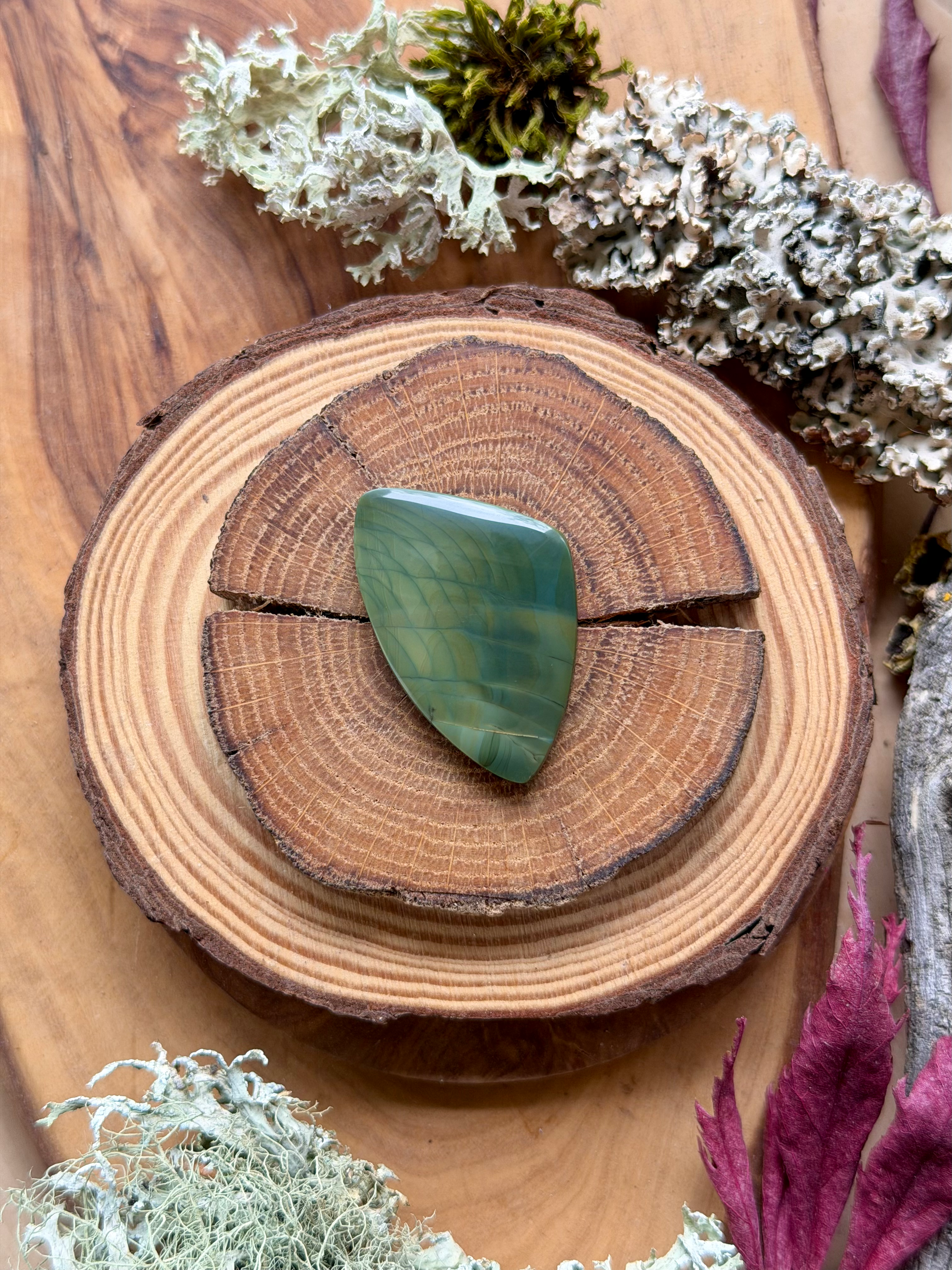 Orbicular Hampton Butte Cabochon