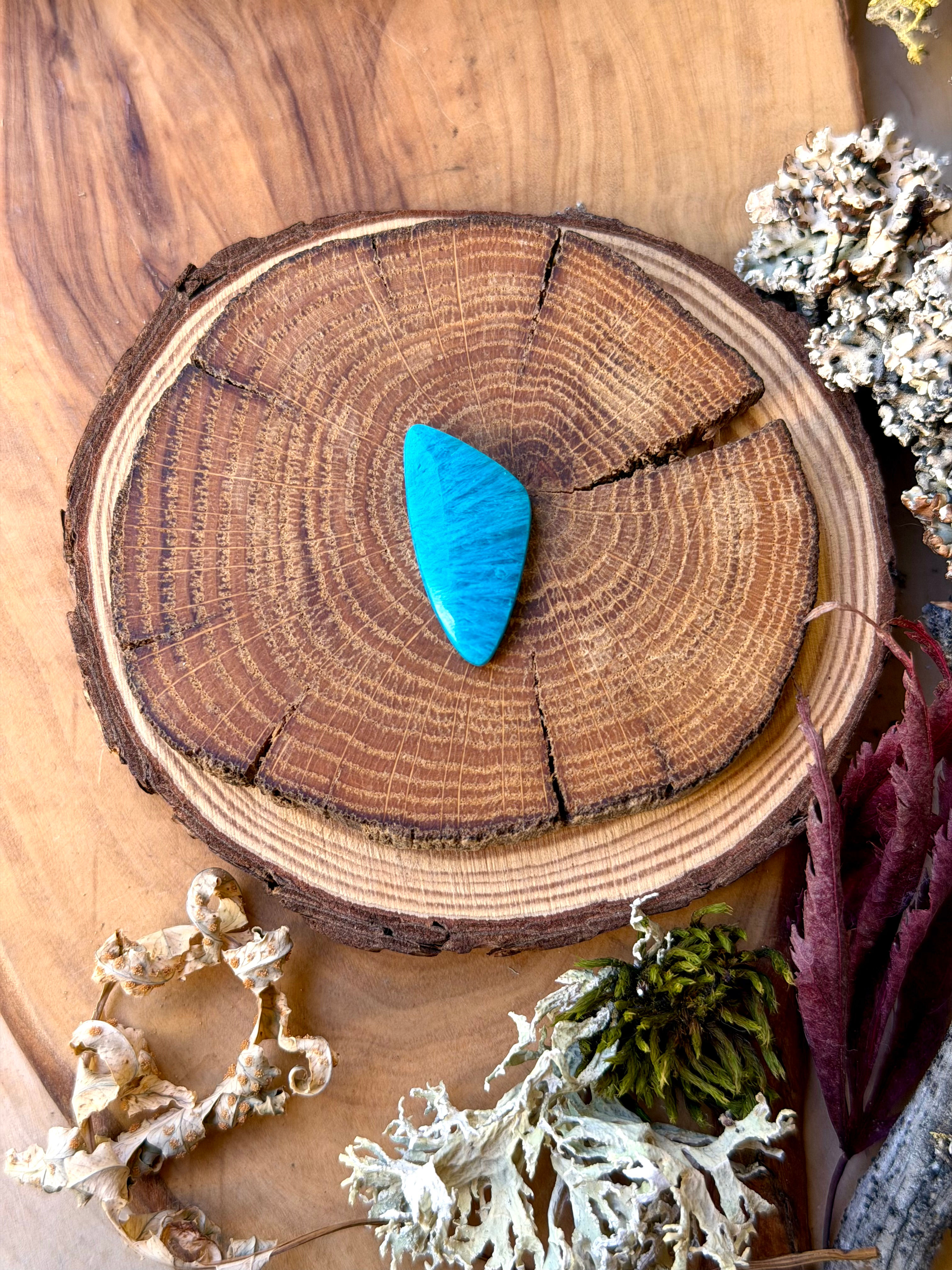 Gem Silica Sagenite Cabochon