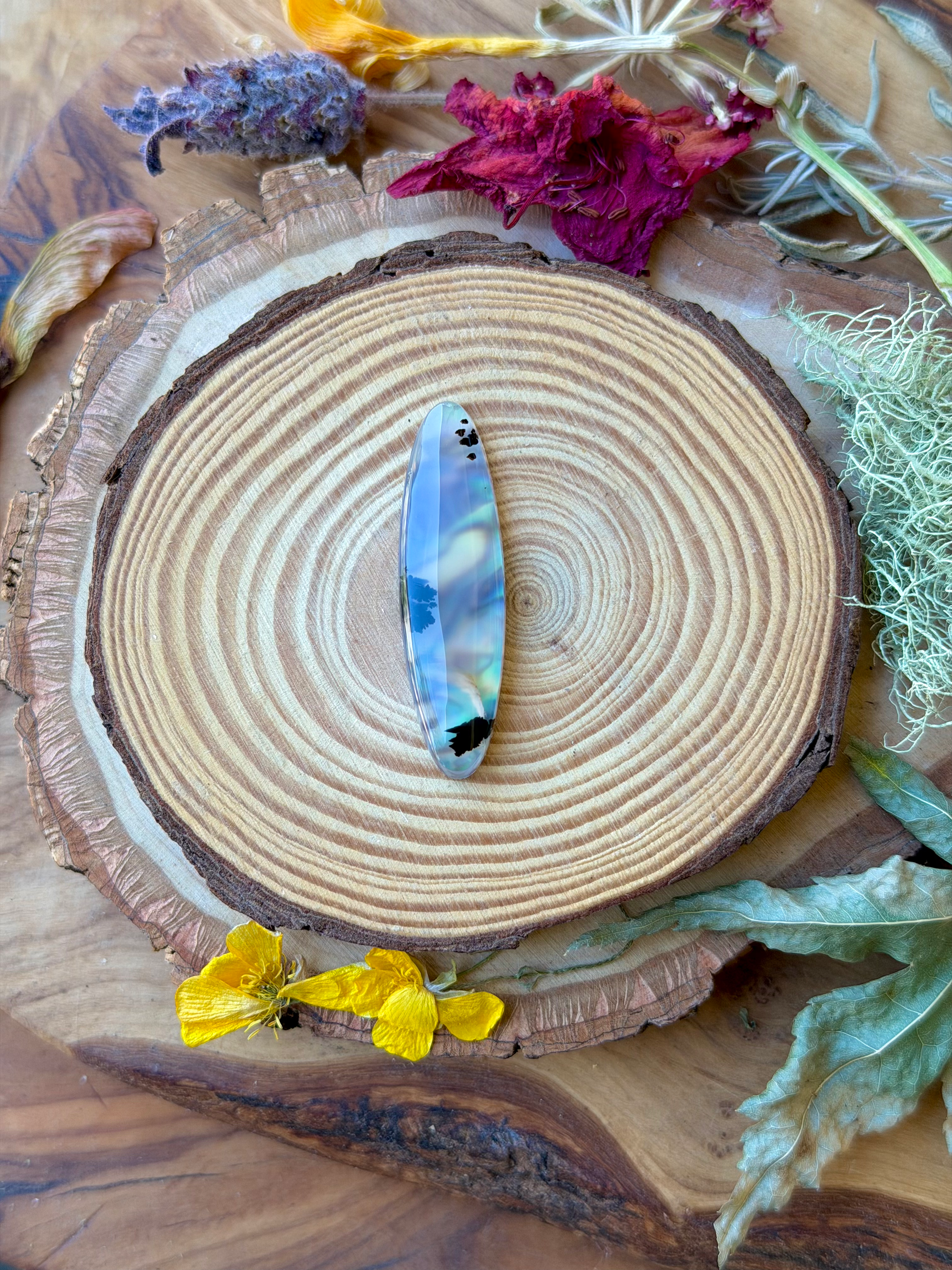 Montana Agate | NZ Abalone Cabochon