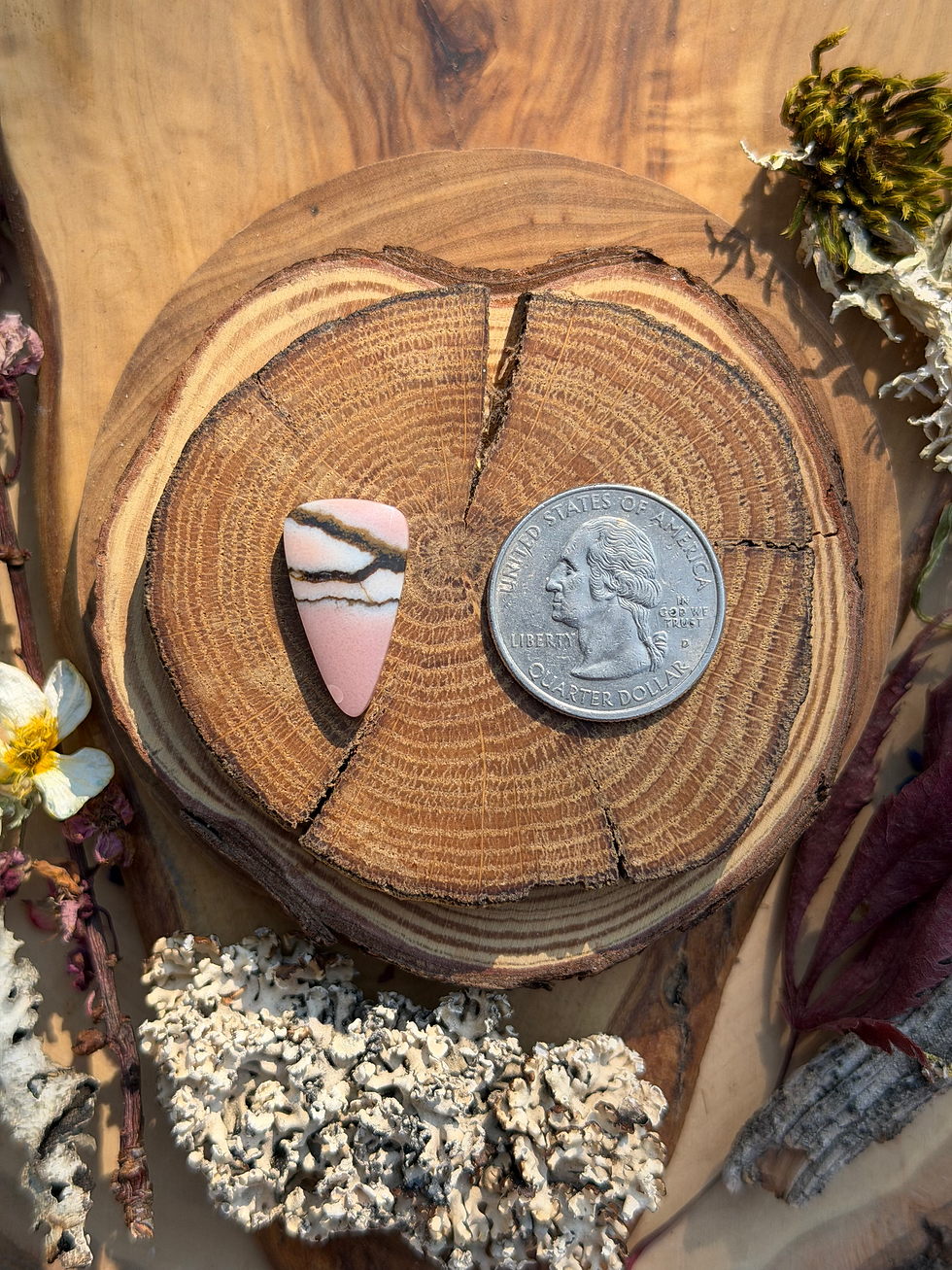 Thumbnail: Oregon Sunset Jasper Cabochon