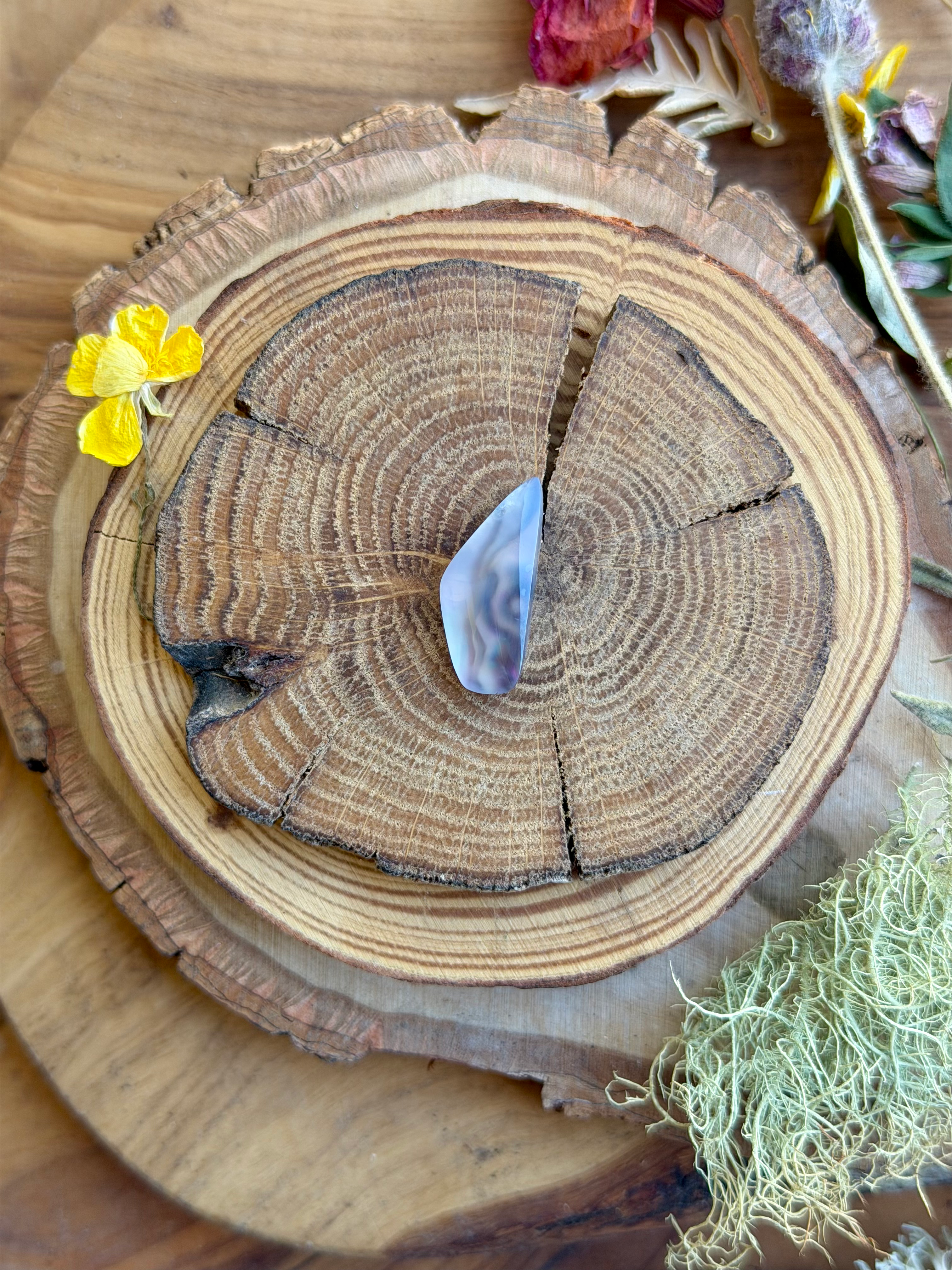 Celestial Blue | NZ Abalone Cabochon