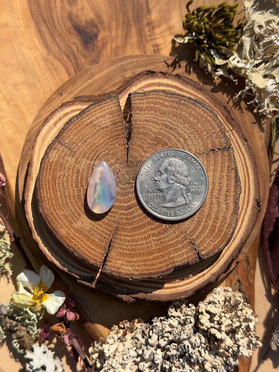 Thumbnail: Celestial Blue | NZ Abalone Cabochon