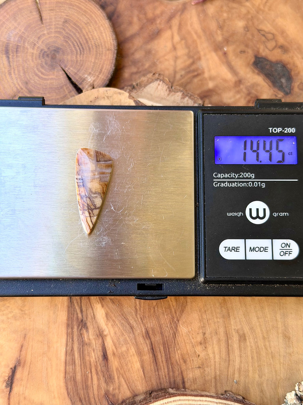 Thumbnail: Channel Wood - Dawn Redwood Petrified Wood Cabochon