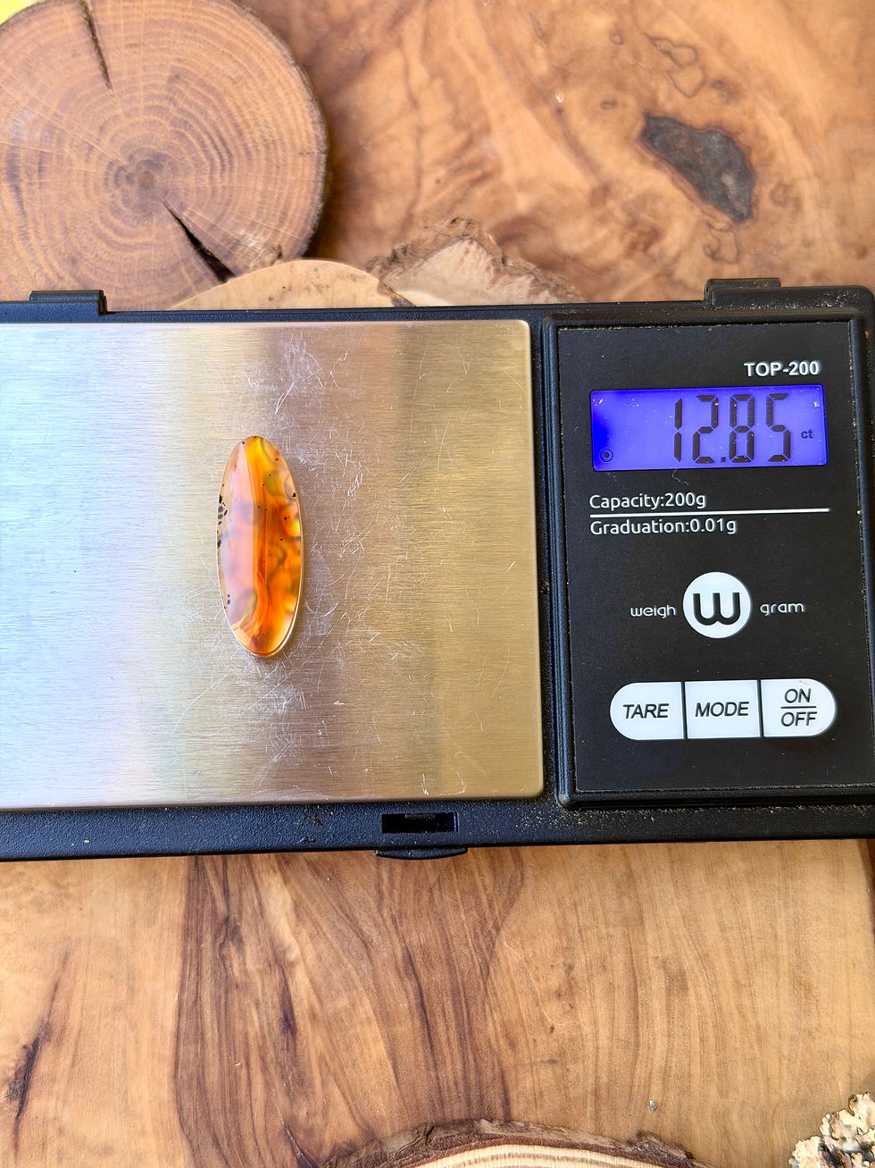 Thumbnail: Montana Agate | NZ Abalone Cabochon