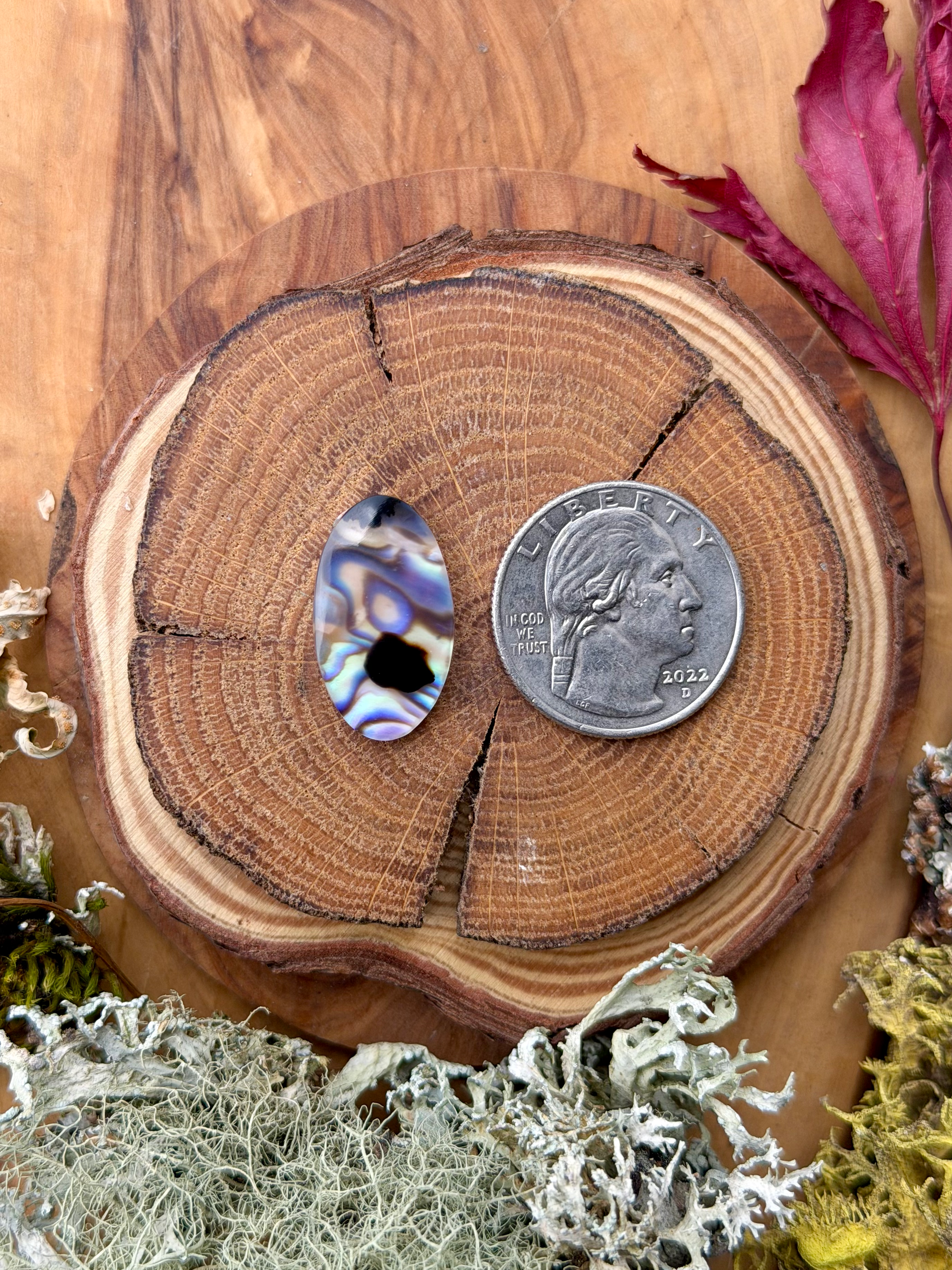 Montana Agate | NZ Abalone Cabochon