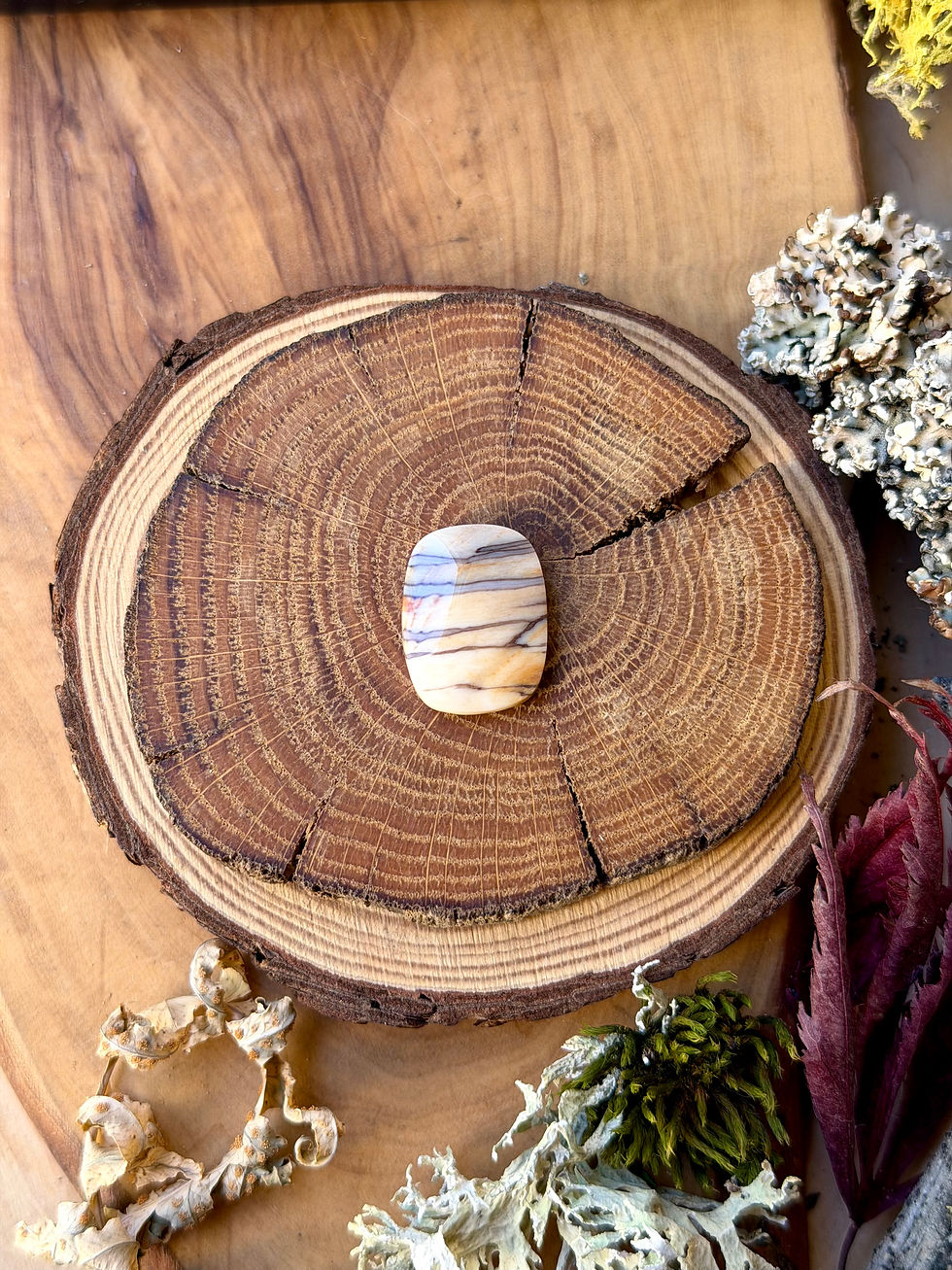 Thumbnail: Channel Wood - Dawn Redwood Petrified Wood Cabochon