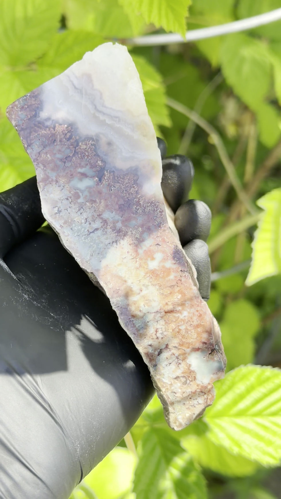 Thumbnail: Prudent Man Plume - Polished Faced Rough Display
