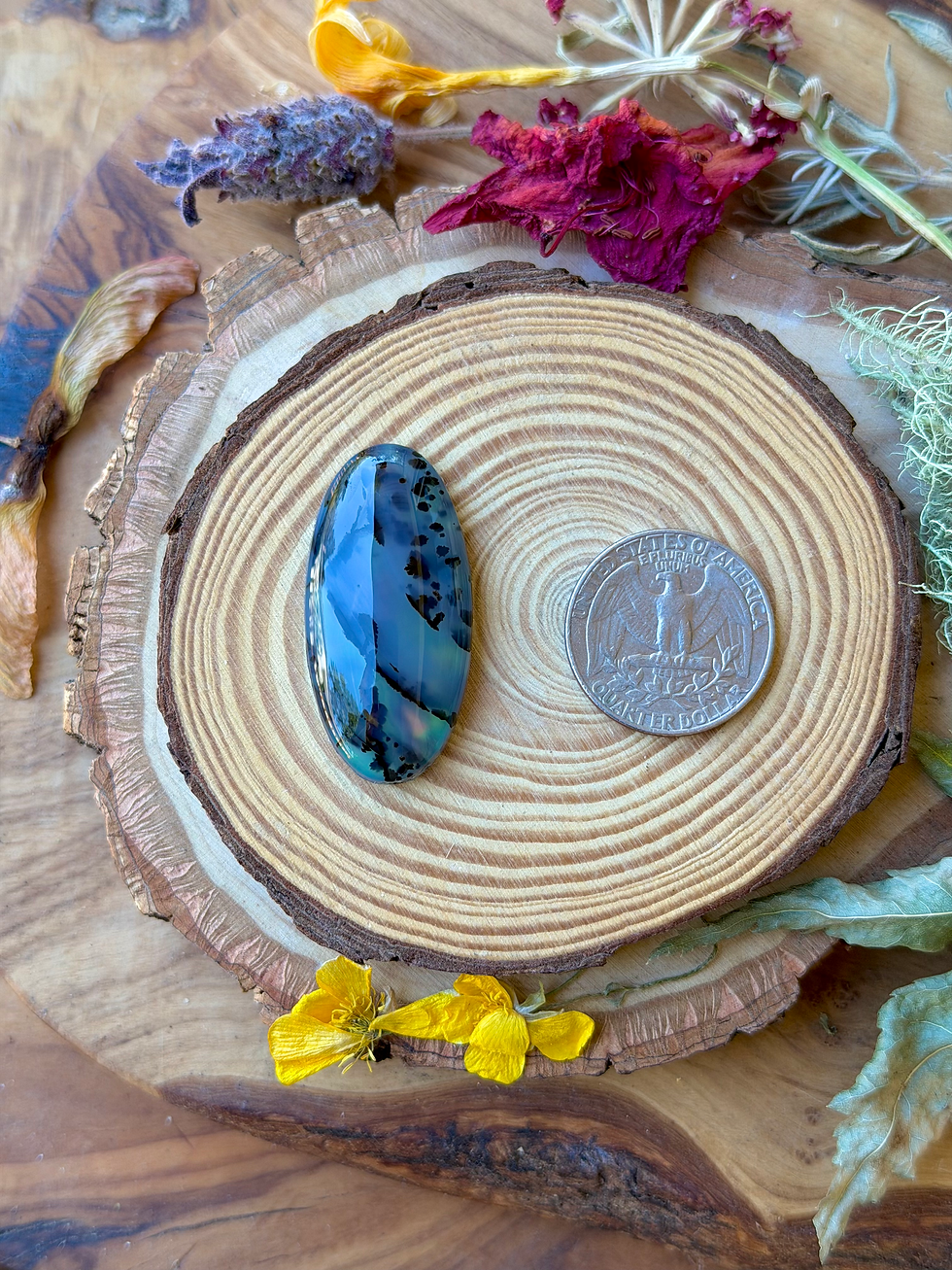 Thumbnail: Montana Agate | NZ Abalone Cabochon