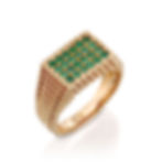 תמונה ממוזערת: טבעת חותם וורונה