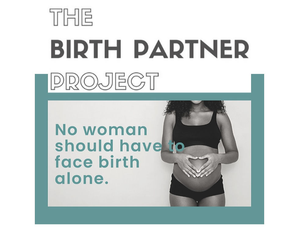 The Birth Partner Project Webinar