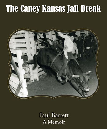Book Cover - PB.jpg