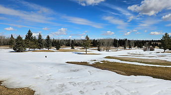 Pipestone Links April 9 2026_2.jpg