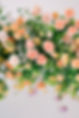 workshop-charlotte-flower-twigs(513of644).jpg
