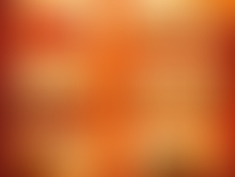 Year of the Fire Horse