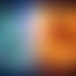 2026 - Year of the Horse