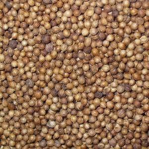 Semilla de culantro 3gr