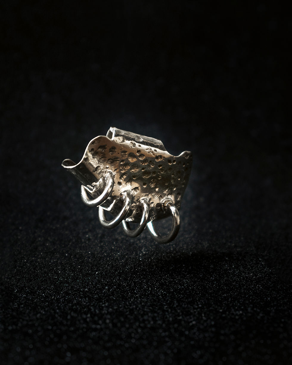 Miniatura: EAR ARMOR